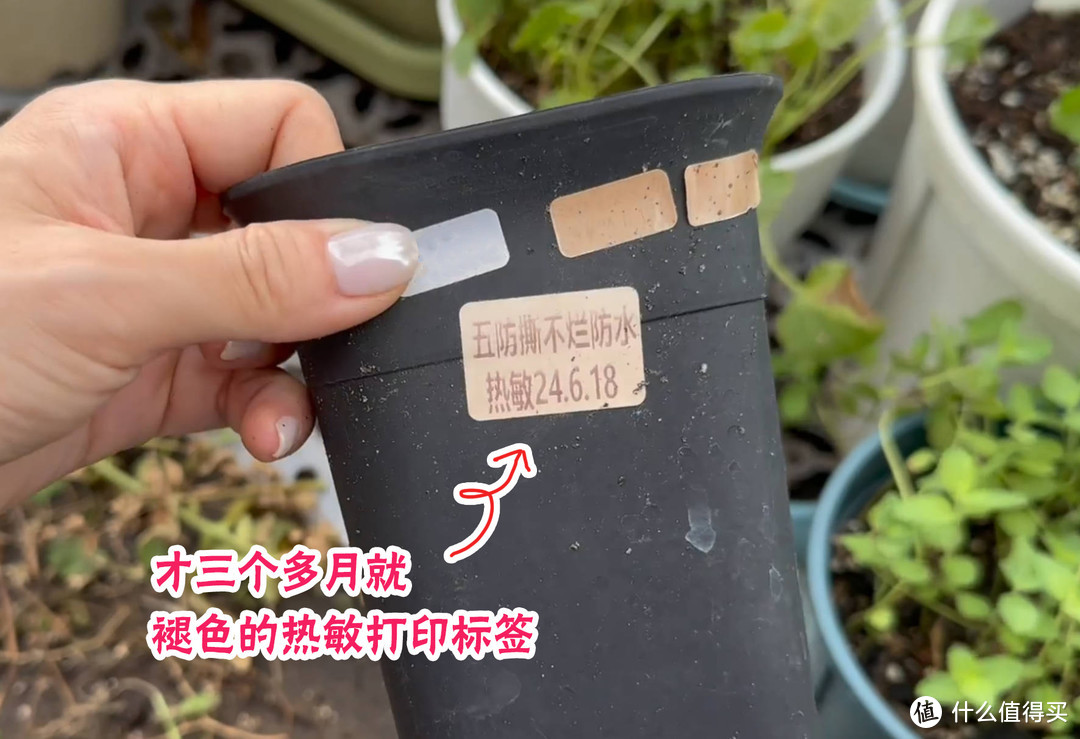 如何选择专业标签机？用过兄弟PT-E550W标签机之后，说说我的感受